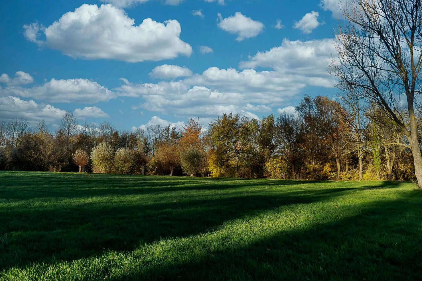 Herbstwolken