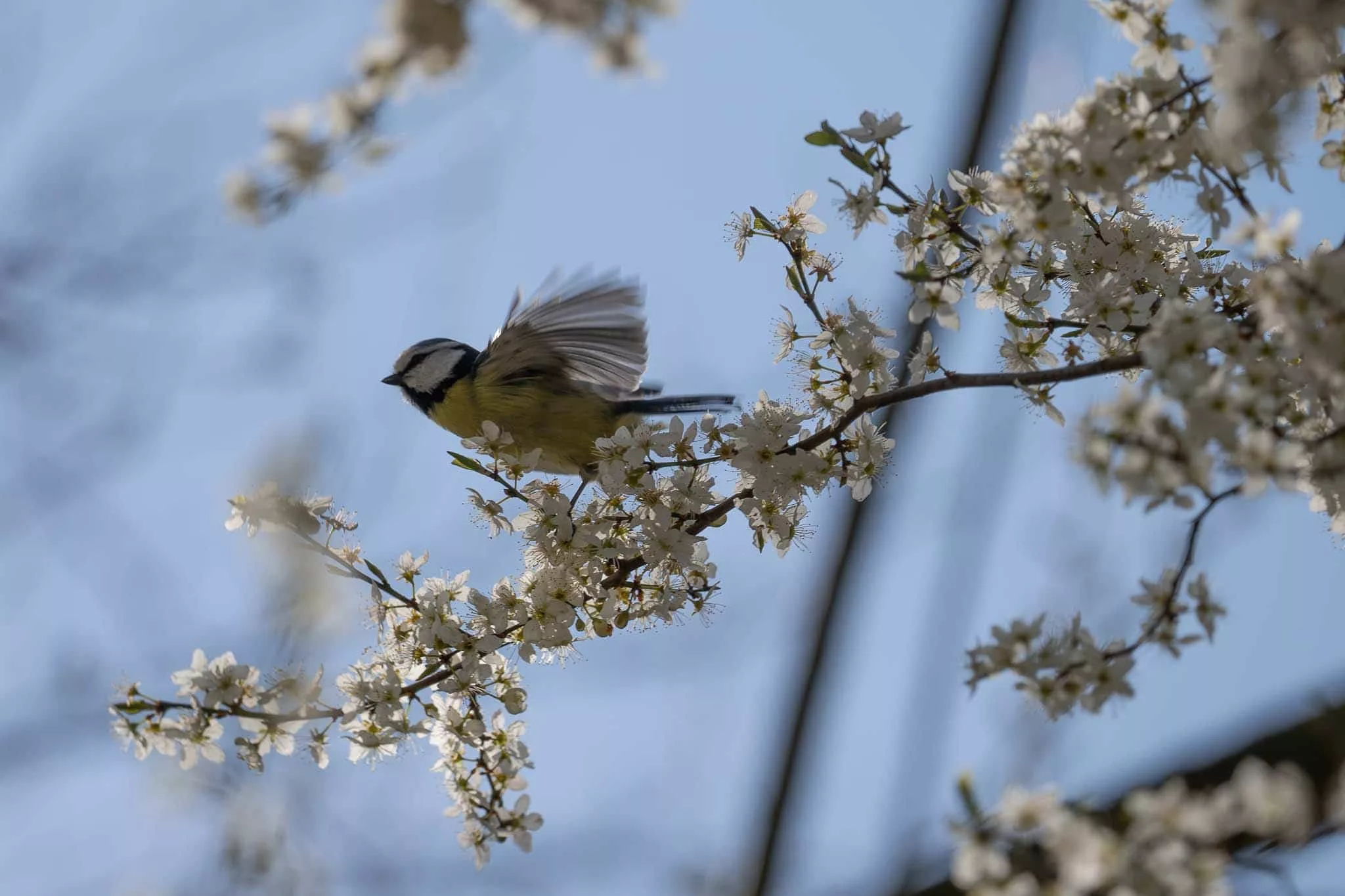 Abflug in den Frühling