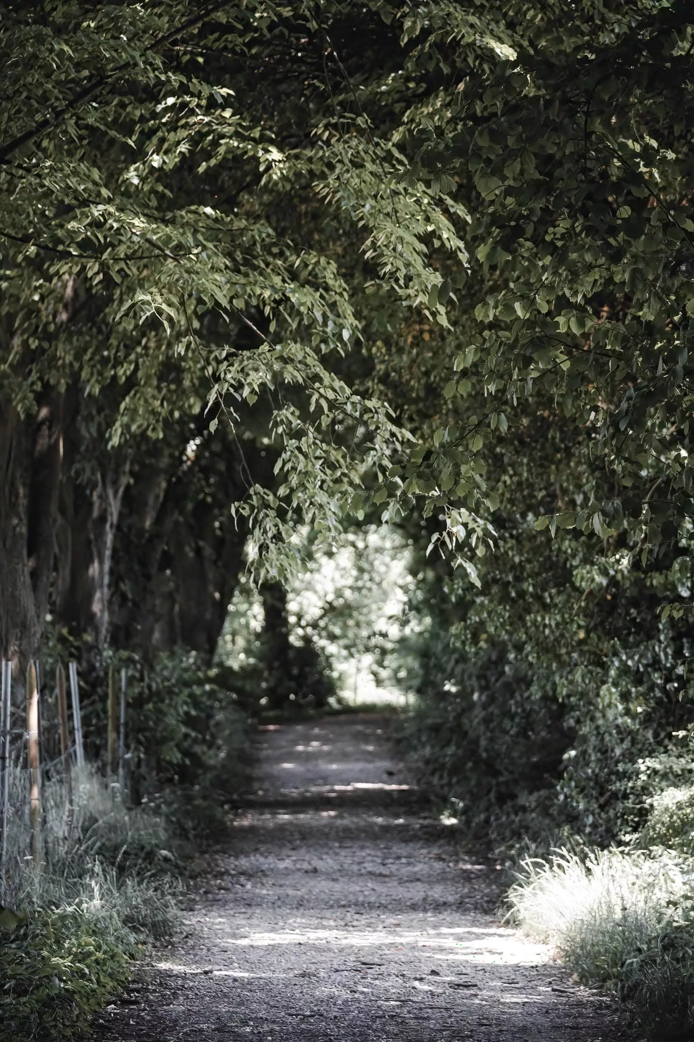 Tunnelblick