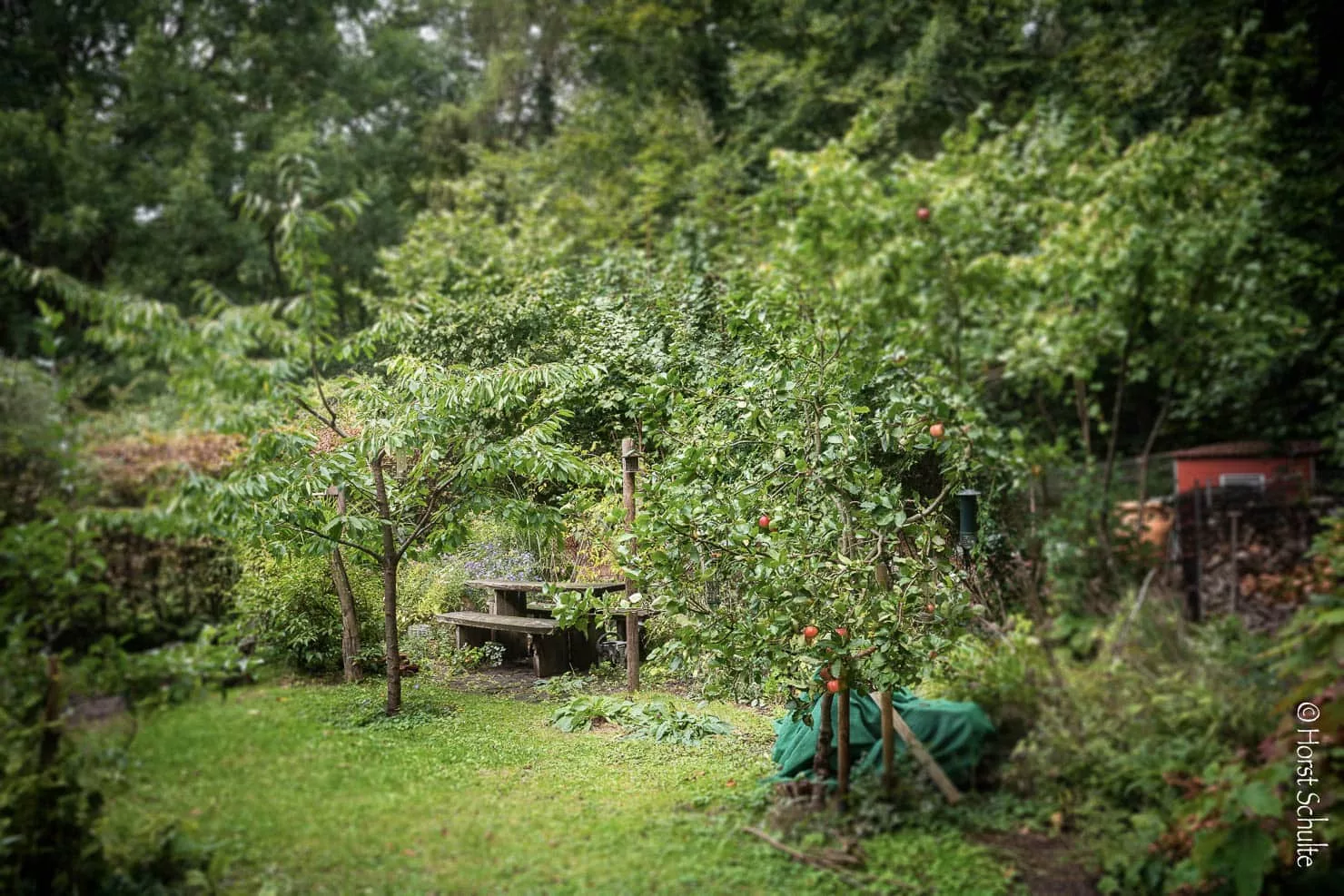 Blick in den Sommergarten